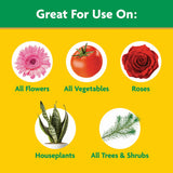 Miracle-Gro Water Soluble All Purpose Plant Food, Fertilizer for Indoor or Outdoor Flowers, Vegetables or Trees, 10 lbs.