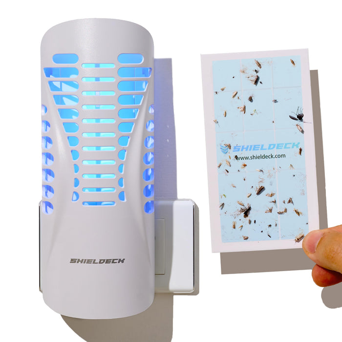 Shieldeck Flying Insect Trap - Indoor Fly Trap, Gnat Trap, and Mosquito Trap - Fruit Fly Killer and Plug-in Bug Catcher with UV Light (1 Device + 5 Refills) - White