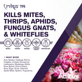 Pyrus TR Greenhouse Fogger (2oz) by Atticus (Compare to Pyrethrum) - Total Release Pyrethrin Insecticide/Miticide - Controls Mites, Thrips, Aphids, Whiteflies, and Fungus Gnats (Packaging May Vary)