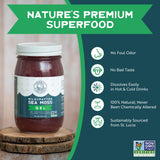 Herbal Vineyards Natural Organic Wildcrafted Purple Raw Sea Moss Gel for Immune Support, Healthy Digestion, and More | 16oz Package | Non-GMO Project Verified