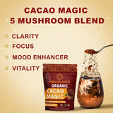 MegaPlants Cacao Magic (50 Servings) | Superfood 5 Mushroom Blend for Focus, Clarity & Energy | Lions Mane, Reishi, Chaga, Cordyceps, Turkey Tail | Smoothie, Hot Chocolate, Coffee Alternative