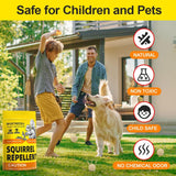 ANEWNICE Squirrel Repellent Outdoor, Extra-Strength Mouse Repellent, Peppermint Pest and Rodent Repellent, Mice Repellent,Chipmunk Repellent, Keep Squirrels Out of Garden, 8P