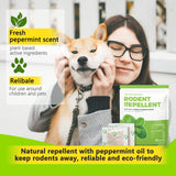 Gragaski Mice Repellent for House, Peppermint Oil to Repel Mice and Rats, Mice Repellent for House Squirrel Repellent Rodent Deterrent for Indoor Use-10 Pouches 1221