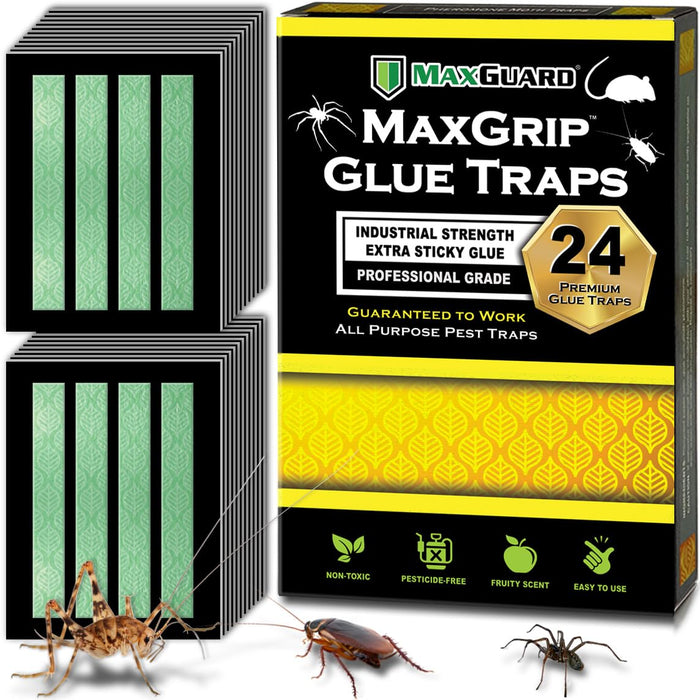 MaxGuard MaxGrip Glue Traps (24 Traps) Non-Toxic Extra Sticky Glue Board Pre-Baited with Fruity Scent Attractant Trap & Kill Insects, Bugs, Spiders, Crickets, Scorpions, Cockroaches, Centipedes, Mice