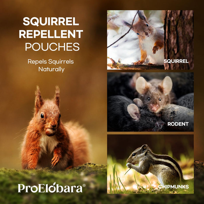 ProElobara Squirrel Repellent Chipmunk Deterrent: Squirrel Deterrent Repellent - Chipmunk Rodent Repellent - Squirrel Repellent Indoor 10 Pack