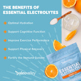 Paleovalley Essential Electrolytes Powder - Full Spectrum Orange Electrolyte Powder for Hydration, Energy and Muscle Recovery - No Sugar Added - 28 Servings