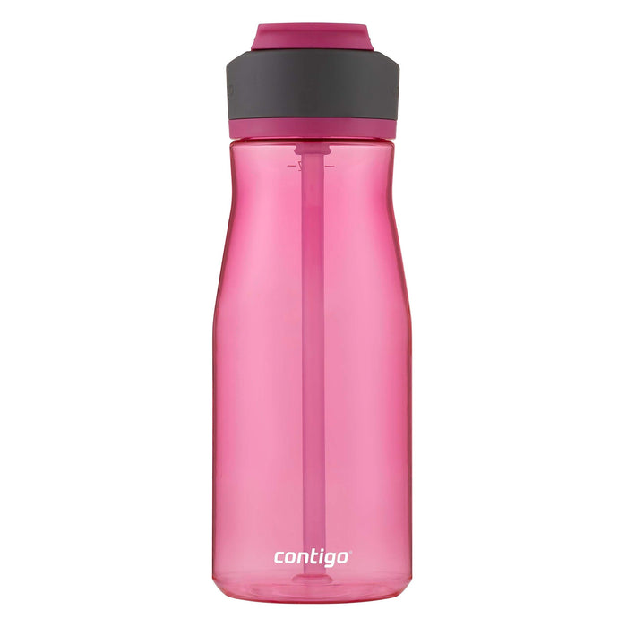 Contigo Ashland 2.0 Leak-Proof Water Bottle with Lid Lock and Angled Straw, Dishwasher Safe Water Bottle with Interchangeable Lid, 32oz Dragon Fruit