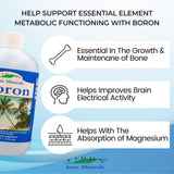 Eidon Liquid Boron Drops - Ionic Mineral Boron Supplement, Essential Element to Support Brain and Bone Health, Bioavailable, No Preservatives or Additives - 18 oz