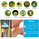 Fly Strips Fruit Fly Traps for Indoors, Sticky Gnat Trap for House Indoor Hanging, 60 Pack Insect & Bug Paper Ribbon Outdoor, Ranch Fly Catcher Tape