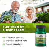 Swanson L. Plantarum - Digestive Supplement Promoting Gastrointestinal Balance & Bowel Regularity - Natural Formula to Help Reduce Bloating - (30 Veggie Capsules) 2 Pack