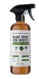 Plant Spray Bottle for Insects with Fruit Fly Trap (16oz) - Kate's Home & Garden. Fungus Gnat Killer for Indoor Plants & Outdoors. Sticky Traps for Fruit Flies & Spider Mites