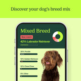 Know Your Pet DNA by Ancestry: Dog DNA Breed Identification Test, Genetic Traits, DNA Matches, Dog DNA Test