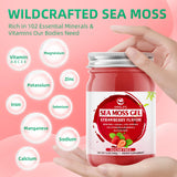 Sea Moss Gel Organic Raw 12oz, Wildcrafted Superfood Irish Seamoss Gel, Rich in 102 Vitamins & Minerals, Nutritional Supplement for Immune and Digestive Support, Strawberry Flavored