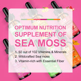 3000mg Sea Moss Liquid Drops - Black Seed Oil & Irish Sea Moss Gel with Burdock Root Bladderwrack, Elderberry, 6X Stronger Qrganic Seamoss Raw for Immunity Booster, Joint & Thyroid, Digestive Health