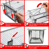 Humane Chipmunk,Rat Trap That Works 12.5"x6.5"x5.5", Small Rodent,Squirrel Trap Cages | Catch and Release | Reusable and Durable | No Kill Animal Trap | for Indoor and Outdoor