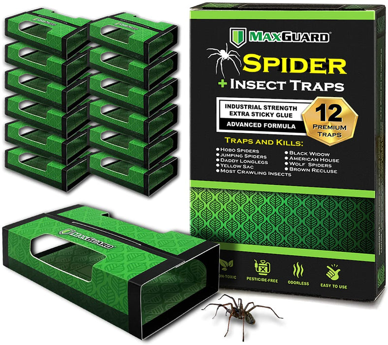 MaxGuard Spider + Insect Traps (12 pcs Box Trap) | Non-Toxic Extra Sticky Glue Traps , Kill Black Widow Hobo Brown Recluse Spiders and Other Crawling Bugs & Insects |