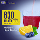 KEY NUTRIENTS Electrolytes Powder No Sugar - Fresh Blueberry Lemonade Electrolyte Powder - Hydration Powder - No Calories, Gluten Free Keto Electrolytes Powder - 90 Servings - Made in USA