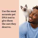 Wisdom Panel Complete: Comprehensive Cat DNA Test kit for 45 Health Genetic Health Conditions, 70+ Breeds and populations, 25+ Traits, Blood Type - 1 Pack