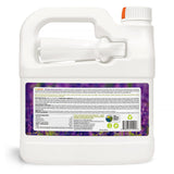 EcoVenger All Purpose Home Insect Control 1/2 Gallon with Trigger Sprayer by EcoRaider, Fleas, Fruit Flies, Gnats, Moths, Roaches, Spiders, Fast Kill