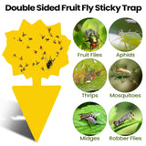 200 Sheets Fruit Fly Traps Sticky Traps for Fruit Fly Gnat Trap for House Indoors Sticky Traps Catcher for Gnats Fungus Gnats Mosquito Catcher Traps for Kitchen Outdoor Plants (Yellow)