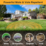 Pufado Mole Repellent, Gopher Repellent Outdoor, Vole Repellent, Mole Deterrent for Yard, Mole Repellant for Lawn, Mole Control, Keep Mole and Vole Out of Your Garden, Safe Around Pet & Plant-8 Packs