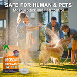 DALIYREPAL Mosquito Repellent for Patio,Mosquitoes Repellent Outdoor/Indoor, Mosquito Deterrent Indoors, Natural Mosquito Repellent for Yard, Mosquito Control for Camping/Travel 2 Jars/Box