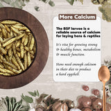 adaman Dried Black Soldier Fly Larvae 5 LBS-100% Natural Non-GMO BSF Larvae-More Calcium Than Dried Mealworms High-Protein Chickens Treats, Food for Wild Birds, Ducks, Layer Hens