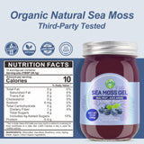 Sea Moss Gel, Organic Raw Flavored Irish Seamoss Gel Immune and Digestive Support Vitamin Mineral Antioxidant Supplements, Blueberry 12oz