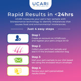 UCARI Pet Sensitivity & Intolerance Test Kit for Dogs & Cats: 1000+ Environmental & Pet Food Intolerance Screening | Noninvasive Home Testing | 48hr Results