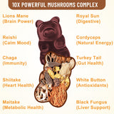 Vazatisi 2 Pack Organic Mushroom Gummies, 10 Mushroom Complex 3300MG - Lions Mane Mushroom Supplement with Shitake Reishi Turkey Tail Chaga for Memory Focus & Immune Booster - 120 Raspberry Gummies