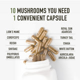 10 Mushroom Complex Supplement | 1300+ MG Blend | Immune & Adaptogen Support from Lions Mane, Turkey Tail, Cordyceps, Reishi, Shiitake, Maitake, Chaga & White Button Mushroom Extracts | 90 Capsules