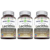 Amazing Formulas Lecithin Dietary Supplement * 1200 mg High Potency Lecithin Softgels (Non-GMO) * Promotes Brain & Cardiovascular Health * Aids in Cellular Activities * 240 Softgels (Pack of 3)