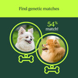 Know Your Pet DNA by Ancestry: Dog DNA Breed Identification Test, Genetic Traits, DNA Matches, Dog DNA Test