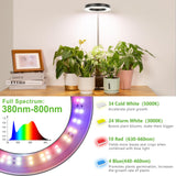 LORDEM Grow Light, LED Plant Light for Indoor Plants Growing, Full Spectrum Desk Growth Lamp with Automatic Timer for 4H/8H/12H, 4 Dimmable Levels, Height Adjustable 9.8"-30.6", 2 Packs of Black