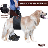 Dog Lift Harness - Dog Sling for Large Dogs Hind Leg Support - Help Your Elderly Or Handicapped Dog’s Mobility with Back Legs, HIPS and Back Support - Make Lifting & Walking Large Dogs Easier