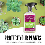 Aunt Fannie’s Houseplant & Garden Insect Remedy, Indoor and Outdoor Plant Insect Killer (3-Pack)