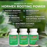 Hormex Rooting Powder #1,3,8 Bundle - for Easy to Moderately Difficult to Root Plants - Fast & Easy - Free of Alcohol, Dye, Gel & Preservatives for Healthier Roots, 63g