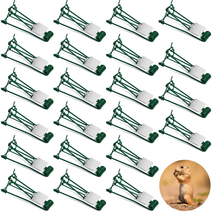 Qualirey 24 Pcs Outdoor Gopher Trap Easy Set Mole Trap Weather Resistant Gopher Killer Vole Trap for Lawn Garden Farm (Green)