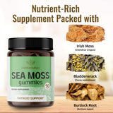 HERBAMAMA Sea Moss Gummies - Wildcrafted Sea Moss Supplement, Immune, & Thyroid Support, Irish Seamoss and Bladderwrack - 90 Vegan Gummy