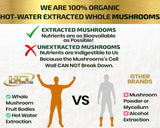Organic Mushroom Supplement Extracts of Lions Mane Cordyceps Chaga Reishi Turkey Tail Maitake Shiitake Capsules - Natural Vitamins Minerals Antioxidants Supplement - Made in The USA