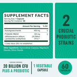 Probiotic & Prebiotic Capsules | Pre & Pro Biotics for Synbiotic Gut Health & Bloating Relief for Women & Men | Enzymes with Probiotics for Digestive Health | 20 Billion CFU | Vegetarian | 60 Ct.