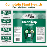 Organic Liquid Seaweed and Kelp Fertilizer Supplement by Bloom City Gallon, (128 oz) Concentrated Makes 750 Gallons