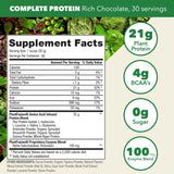 PlantFusion Complete Vegan Protein Powder - Plant Based With BCAAs, Digestive Enzymes and Pea Protein - Keto, Gluten Free, Soy Free, Non-Dairy, No Sugar, Non-GMO - Chocolate 2 lb