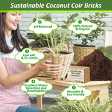 Legigo 6 Pack Premium Coco Coir Brick for Plants- 100% Organic Compressed Coconut Coir Bricks Starting Mix, Coco Coir Fiber Coconut Husk for Planting, Gardening, Potting Soil Substrate, Herbs