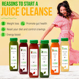 5 Day Juice Cleanse by Raw Fountain, Tropical Flavors, All Natural Raw, Cold Pressed Fruit and Vegetable Juices, Detox Cleanse, 30 Bottles 12oz, 5 Bonus Ginger Shots