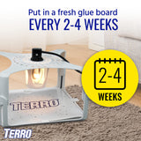 TERRO T230 Indoor Electric Flea Light Refillable Flea Trap and Killer