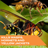 Stem Kills Wasps, Hornets And Yellow Jackets: Plant-Based Active Ingredient Bug Spray, Botanical Insecticide For Outdoor Use; 10 fl oz (Pack Of 3)