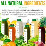 5 Day Juice Cleanse by Raw Fountain, All Natural Raw Detox Cleanse, Weight Management Program, Cold Pressed Fruit and Vegetable Juice, Tasty and Energizing, 30 Bottles 12oz, 5 Ginger Shots