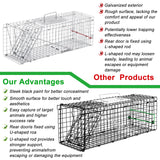 VASALAID Live Animal Trap Cage, 24 X 7 X 8 Inch Catch and Release, Humane Live Trap Cage Indoor & Outdoor Foldable cat Trap for Stray Cats, Rabbits, Squirrels, Groundhogs, Woodchucks