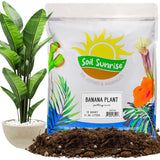 Banana Tree Potting Soil Mix (12 Quarts), Hand Blended Mixture for Banana Plants